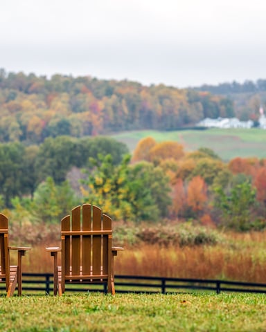 Adirondack chairs at a Virginia winery