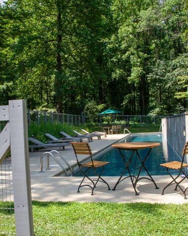 Pool deck with lounge chairs, small tables, and modern white structure surrounded by dense green forest