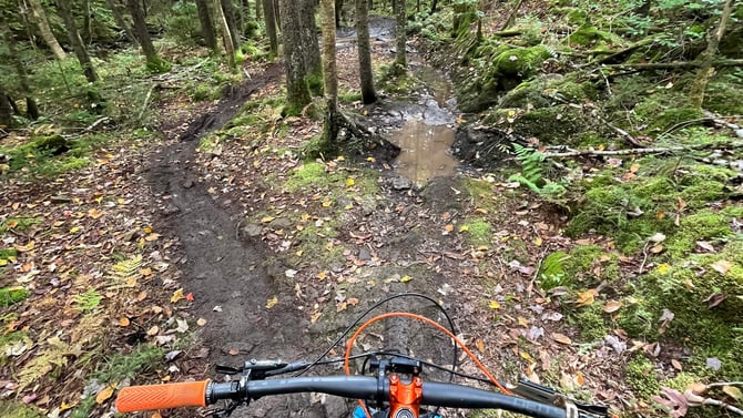 Moonshiner's Enduro