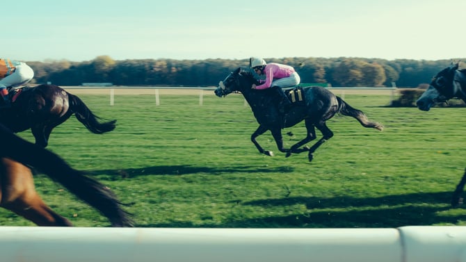 Montpelier Hunt Races