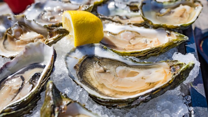 Public Fish & Oyster