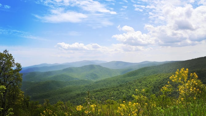 Check Out Our Favorite Places in Crozet, VA
