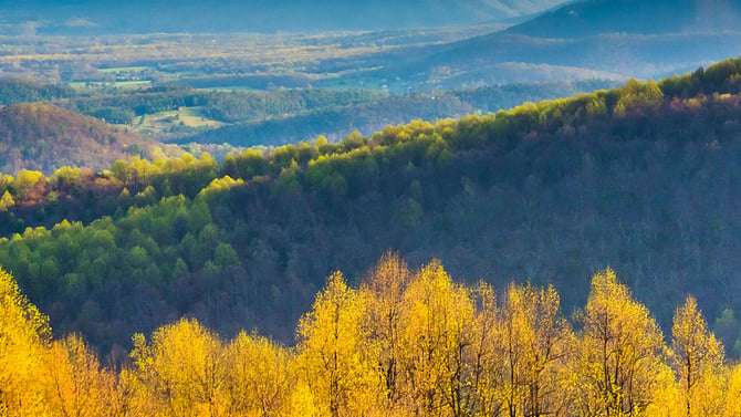 Have a Great Fall Weekend!