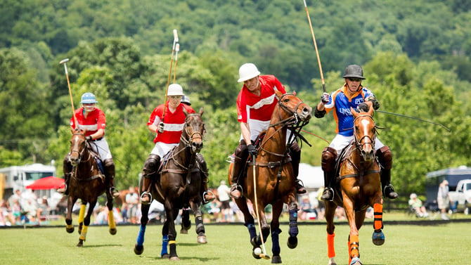Roseland Polo at King Family Vineyards