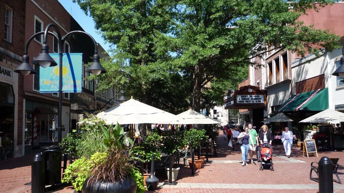 Charlottesville's Downtown Mall Shops!