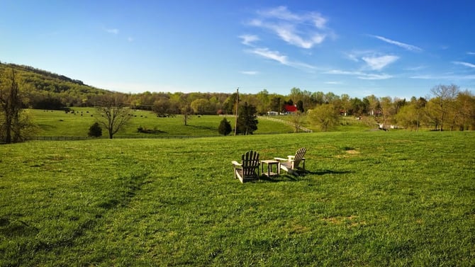 Spring and the Charlottesville Viognier Wine