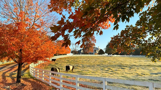 Guide to Fall in Charlottesville VA 2026