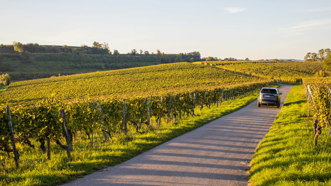 Central Virginia Wine Tours & Transportation