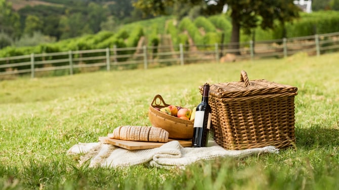 Pollak Vineyards