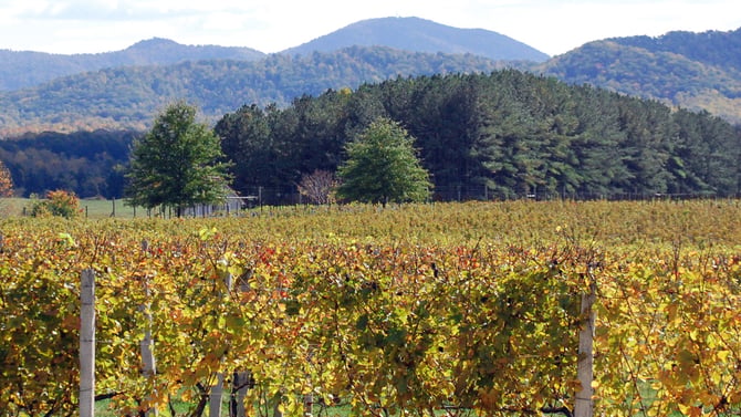 Wine Country Retreats