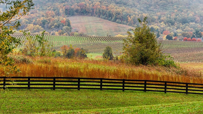 Charlottesville Hotels & Inns