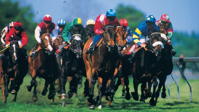 Foxfield Races