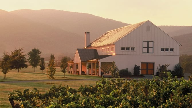 Our Favorite Charlottesville Vineyards